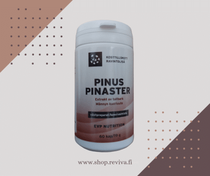Pinus Pinaster