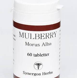 Mulberry - Mullbär