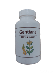 Gentiana