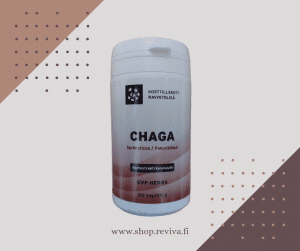Chaga - Sprängticka